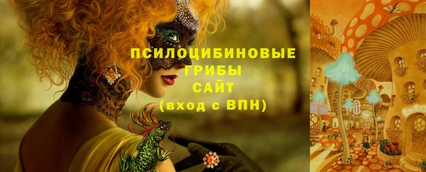 a pvp Верхний Тагил