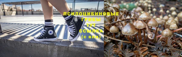 a pvp Верхний Тагил