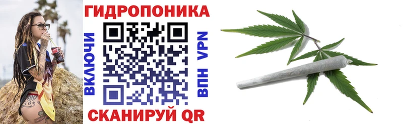 Конопля MAZAR  закладка  Сыктывкар 